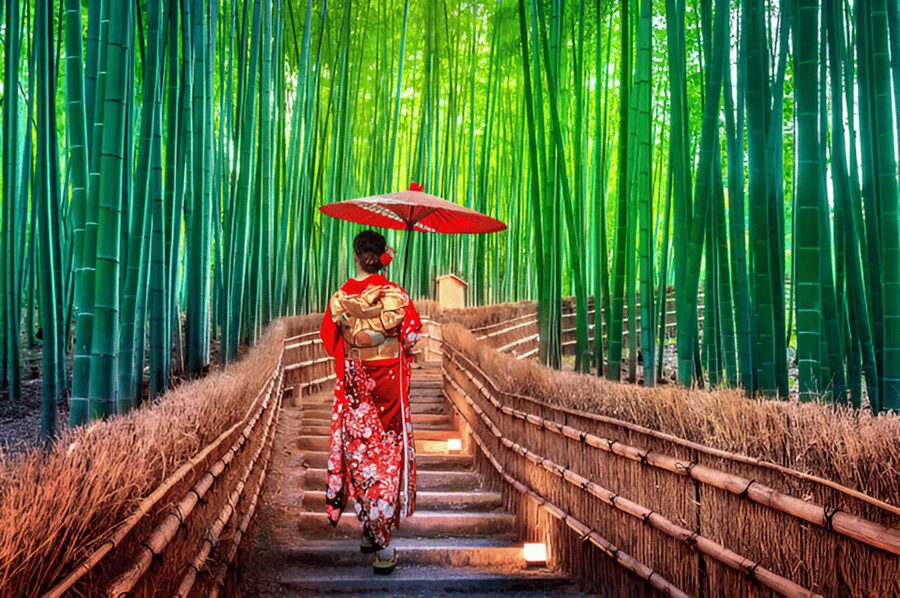 Osaka/Kyoto: Private Kyoto and Nara Day Trip - Kyoto-only: the better choice for first-time depth