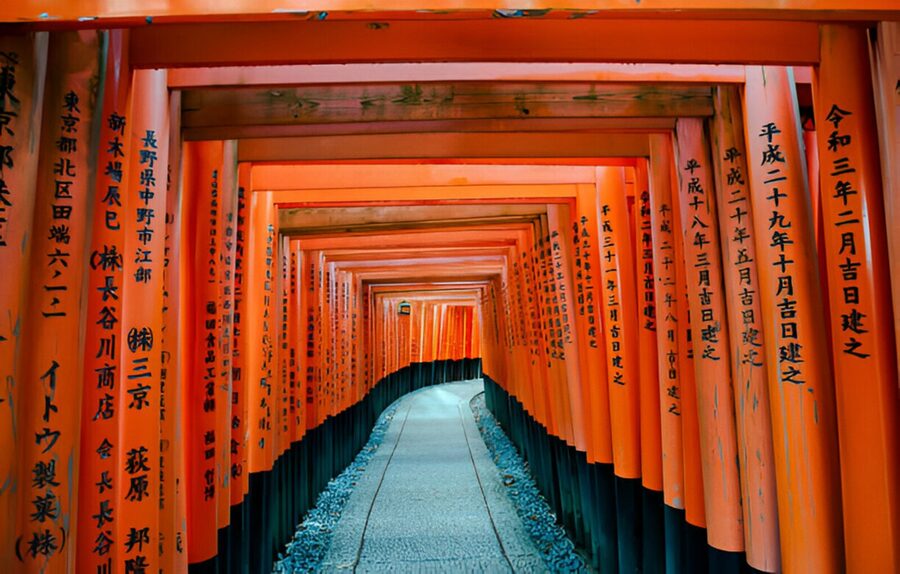 Osaka/Kyoto: Private Kyoto and Nara Day Trip - What the private van adds