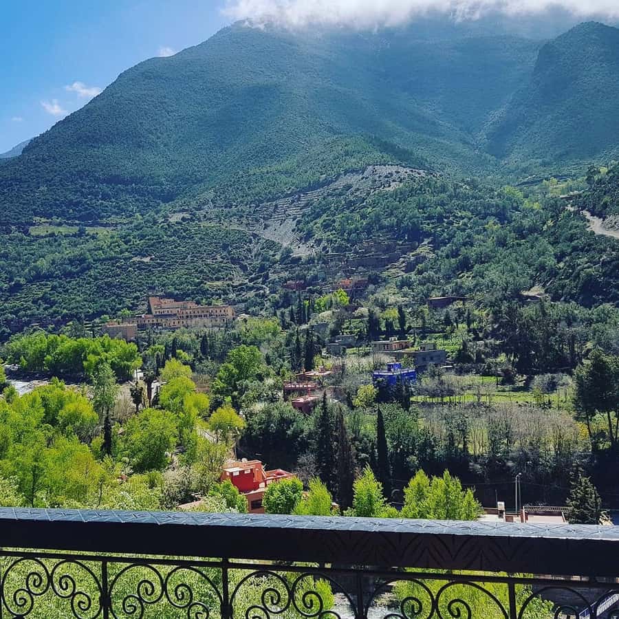 Ourika Valley Waterfalls Day Trip From Marrakech - Lunch costs extra, and that affects the value