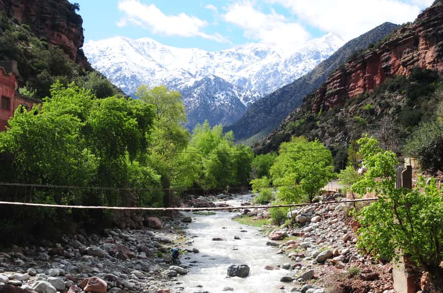 Ourika Valley with Atlas Mountains Day Trip from Marrakech - Mint tea in a Berber home