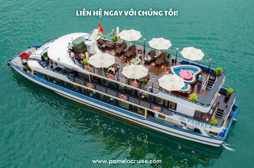 Pamela Cruise: HaLong Bay day trip with Lunch & Activities - Key points to know before booking