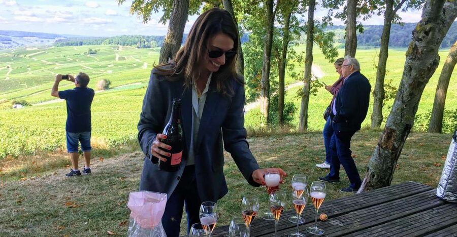 Paris: Private Day Trip to Champagne with 8 Tastings & Lunch - Key points to know before you book