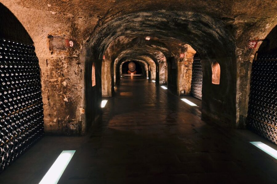 Paris: Private Day Trip to Champagne with 8 Tastings & Lunch - The drive back to Paris