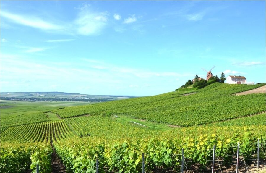 Paris: Private Day Trip to Champagne with 8 Tastings & Lunch - Avenue de Champagne and Épernay views