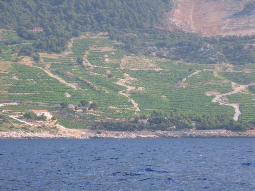 Peljesac Peninsula & Korcula Island Day-Trip from Dubrovnik - Potomje and the wine tasting