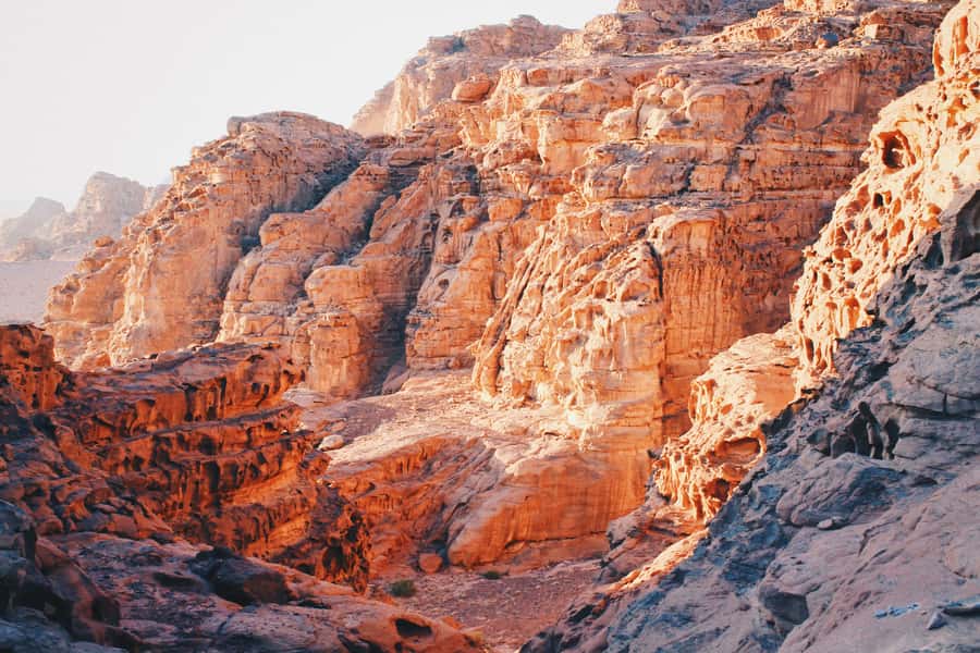 Petra & Wadi Rum: Full Day Private Tour with Hotel Pickup - What to bring and how to pace yourself