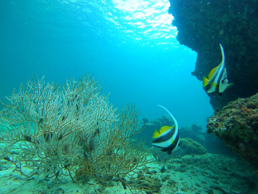 Phi Phi & Bamboo Islands: Premium Day Trip w/ Seaview Lunch - Maya Bay is famous, beautiful, and busy