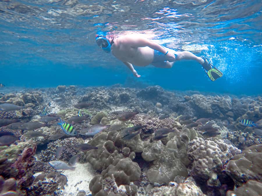 Phi Phi & Bamboo Islands: Premium Day Trip w/ Seaview Lunch - Monkey Beach is more of a quick look