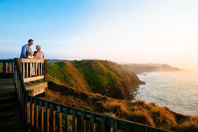 Phillip Island Day Trip from Melbourne with Penguin Plus Viewing Platform - Why the Penguin Plus platform matters