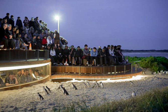 Phillip Island Day Trip from Melbourne with Penguin Plus Viewing Platform - Phillip Island gives the day its wider setting