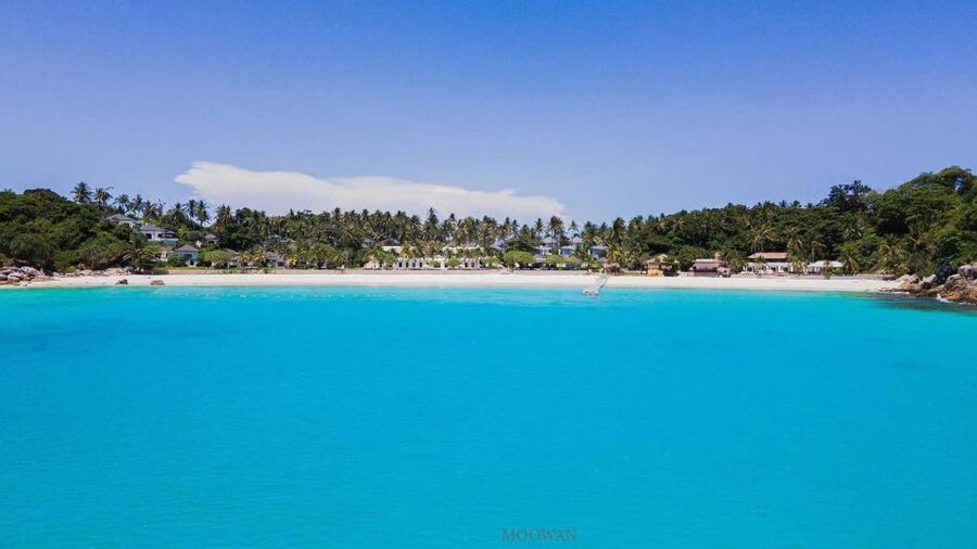 Phuket: Coral & Racha Islands Day Trip By Speedboat - Should you book the Coral and Racha Islands tour?