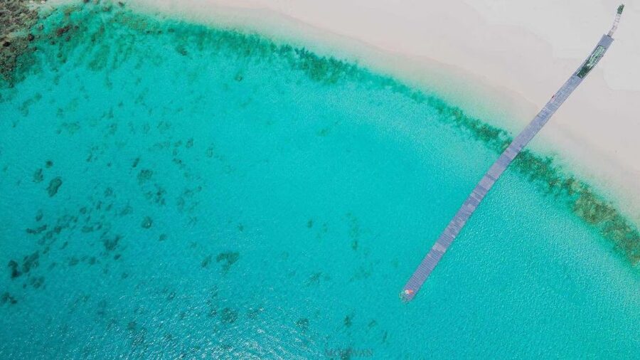 Phuket: Coral & Racha Islands Day Trip By Speedboat - Is the $56 price good value?