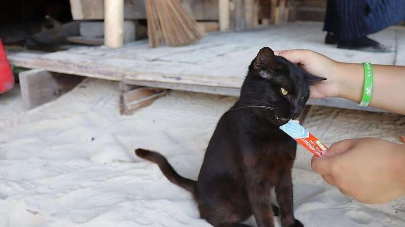 Phuket: Khai Nok, Khai Nai, and Khai Nui Island Day Trip - Key points at a glance