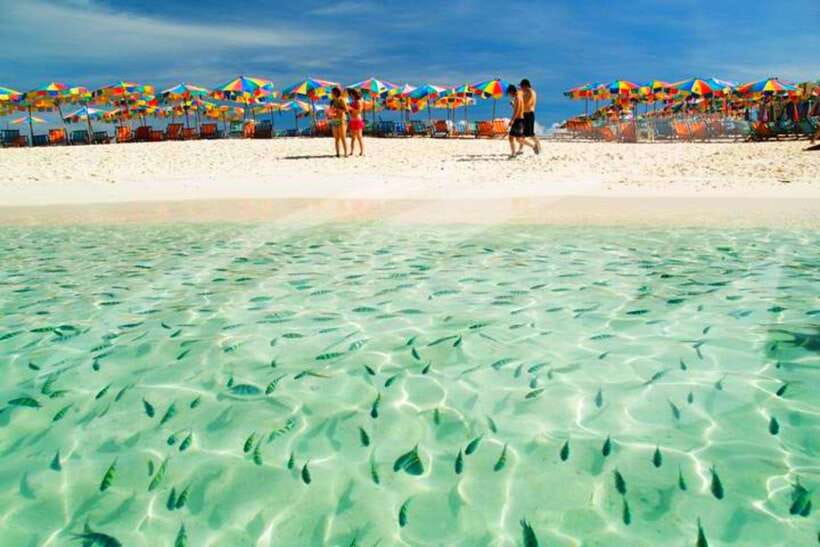 Phuket: Khai Nok, Khai Nai, and Khai Nui Island Day Trip - Khai Nai and the famous beach cats