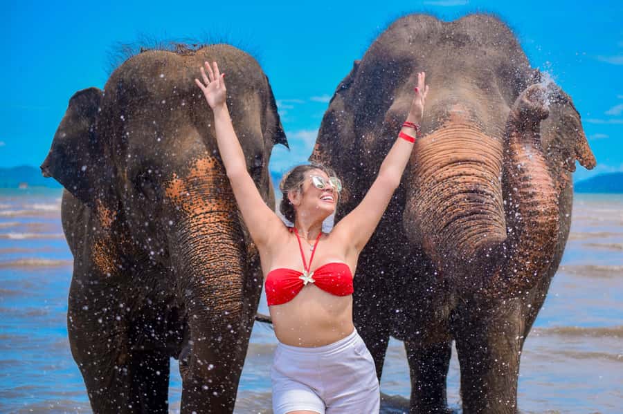 Phuket: Lily Elephant Half day Trip on the Beach with lunch - A beach encounter with a useful purpose