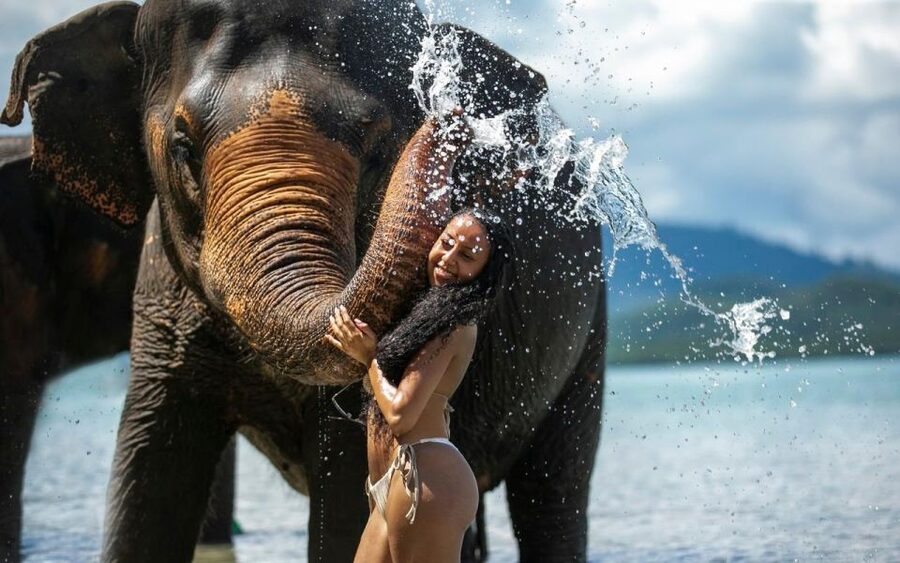 Phuket: Lily Elephant Half day Trip on the Beach with lunch - The freshwater rinse and basic health check