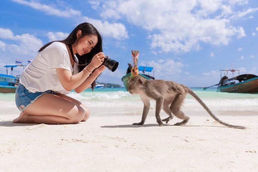 Phuket: Phi Phi Islands and Maya Bay Day Trip with Lunch - Transport, timing, and the real length of the day