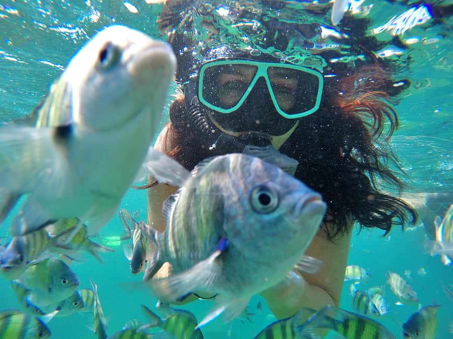 Phuket: Phi Phi & James Bond Island Combo Day Tour w/Lunch - Why this combo tour makes sense
