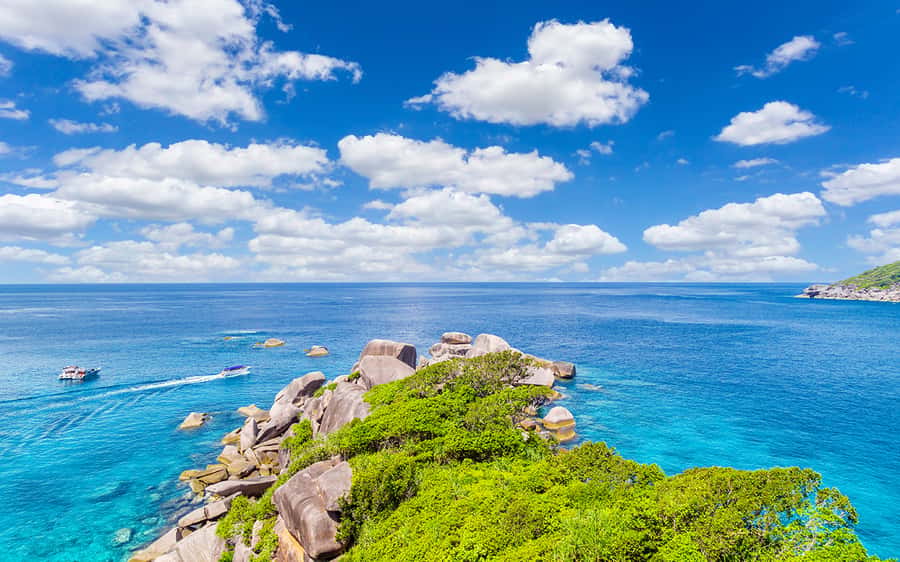 Phuket: Similan day full day trip by speedboat - What the crew does well