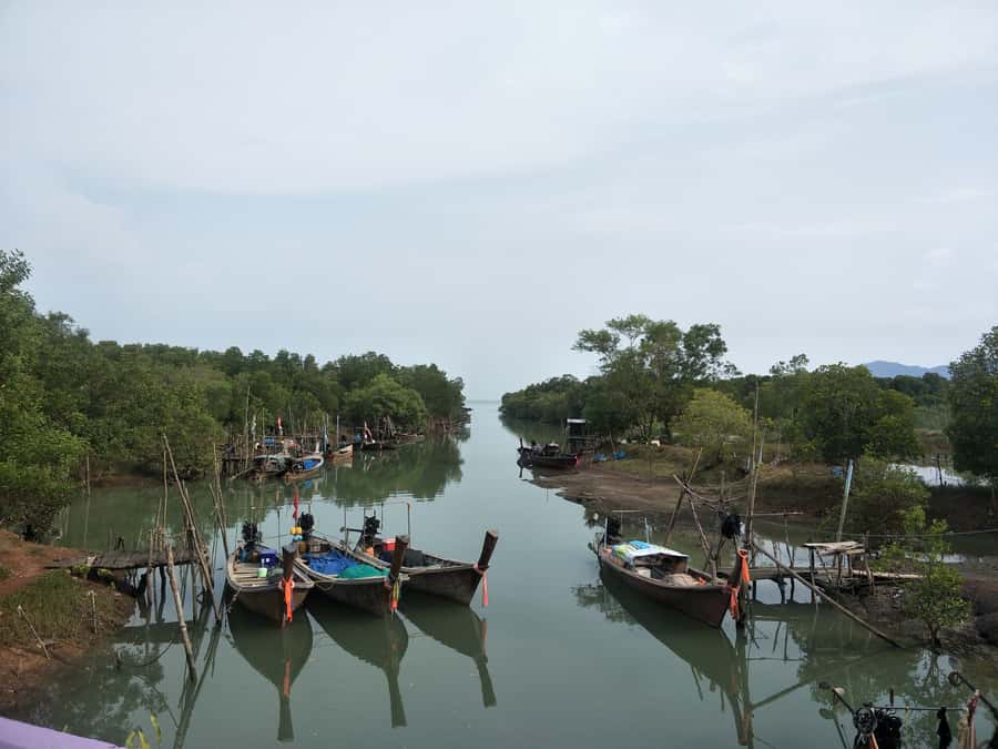 Phuket: Yao Island Cycling and Beach Day-Trip - Beach lunch, high tide swimming, and Phang Nga Bay views