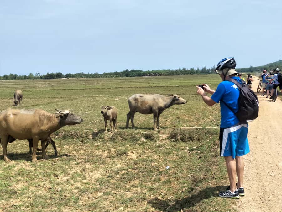 Phuket: Yao Island Cycling and Beach Day-Trip - Who will enjoy this cycling day