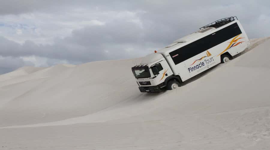 Pinnacles, Koalas, 4WD & Sandboarding Tour from Perth - Why this tour works for a short Perth stay