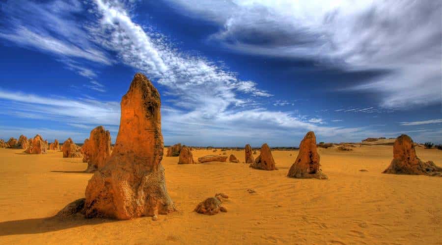 Pinnacles, Koalas, 4WD & Sandboarding Tour from Perth - The long road north is part of the experience