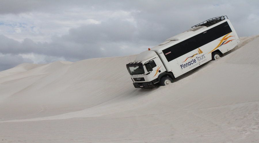 Pinnacles, Koalas, 4WD & Sandboarding Tour from Perth - Guides can make or break the long drives