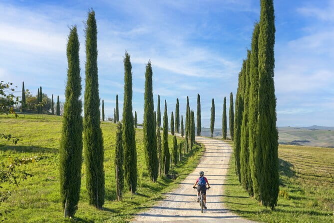 Pisa, Siena and San Gimignano Day Trip with Lunch & Wine Pairing - Walking, timing, and group size