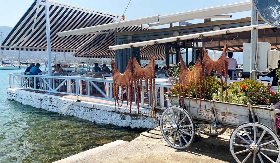 Poros Island: Full Day Trip From Athens with Swimming - Choosing between walking, biking, and more sea views