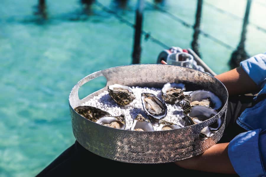 Port Lincoln: Coffin Bay Seafood, Wine, and Nature Day Trip - Lunch at Oyster HQ, with the bay in view