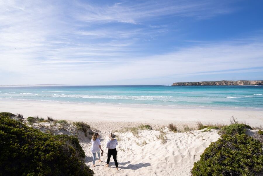 Port Lincoln: Coffin Bay Seafood, Wine, and Nature Day Trip - Price, group size, and the practical trade-offs
