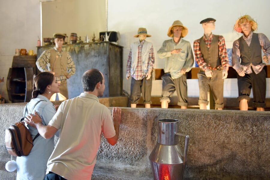 Porto: Douro Valley Day Trip with Lunch and Favaios Village - Should you book this Douro Valley day trip?