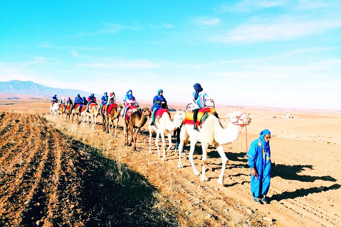 Private Atlas Mountains & Berber villages day trip - The waterfall walk and Berber village lunch