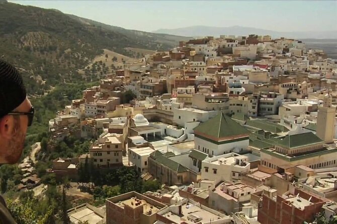 private Day trip from Fez to Volubilis and Meknes (without shopping) - What the private format really gives you