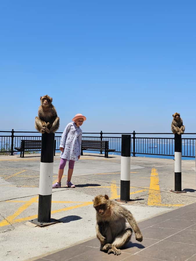 Private Day Trip: Gibraltar & (Tangier) Morocco from Seville - Practical advice for making the day work