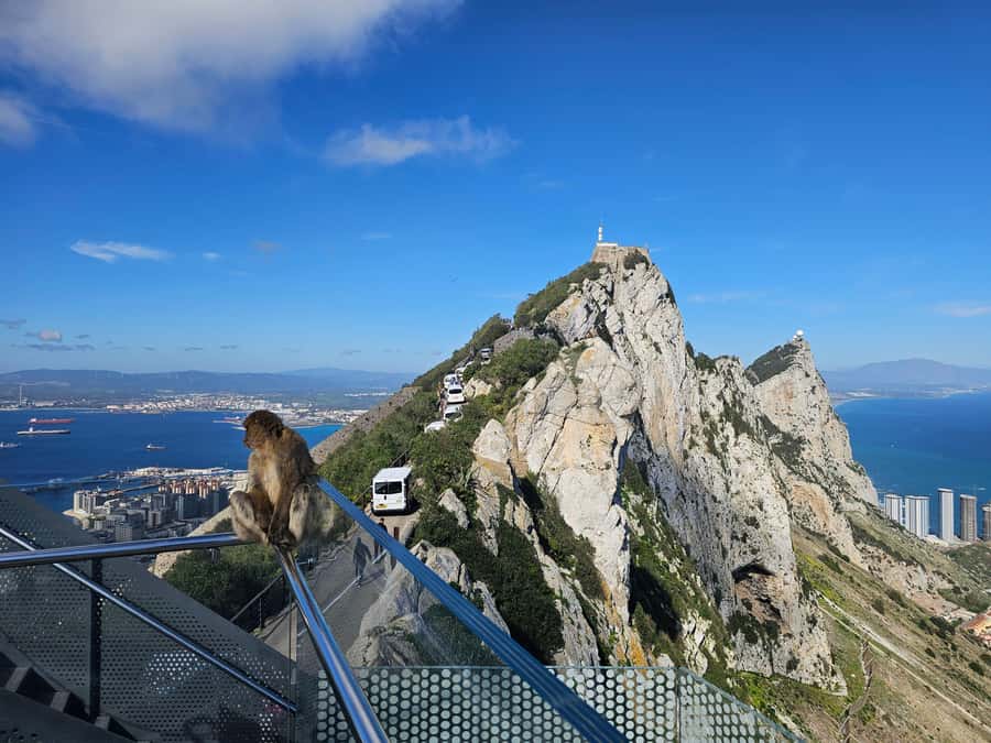 Private Day Trip: Gibraltar & (Tangier) Morocco from Seville - Gibraltar and the Rock in 90 minutes
