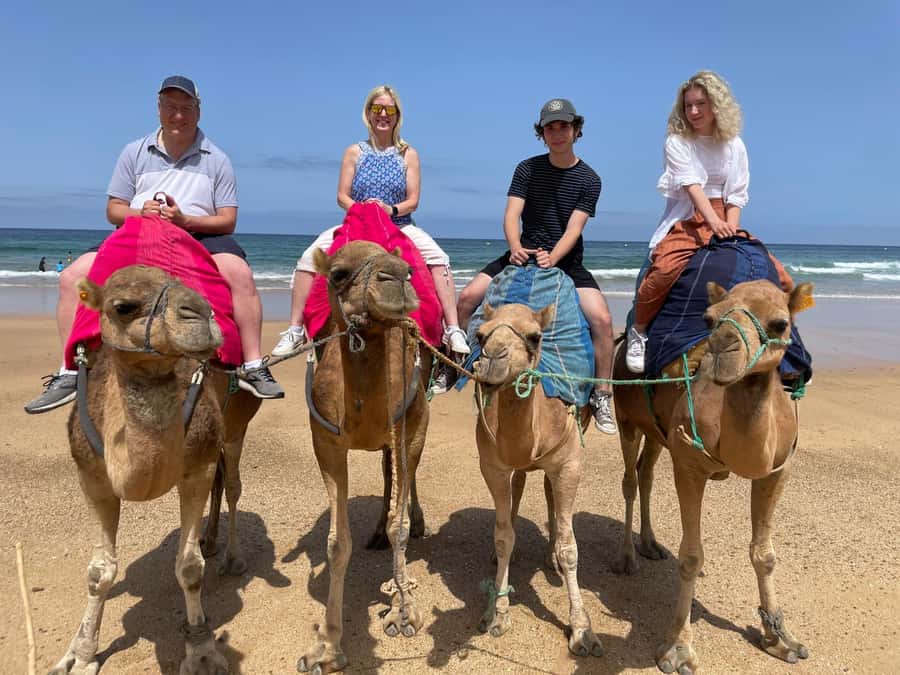 Private Day Trip: Gibraltar & (Tangier) Morocco from Seville - Tangier: five hours of food, streets, and local life