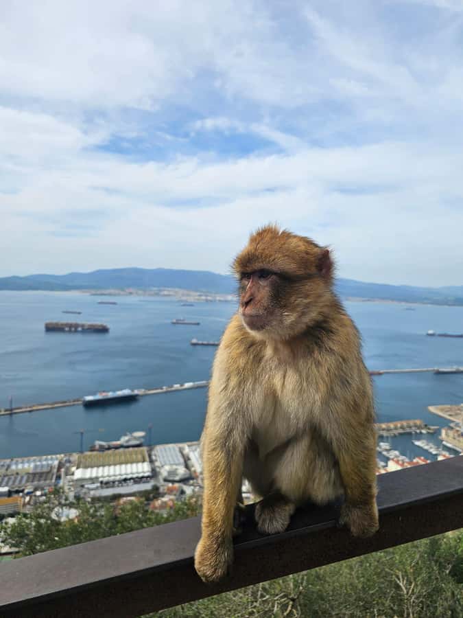 Private Day Trip: Gibraltar & (Tangier) Morocco from Seville - The long ride south from Seville