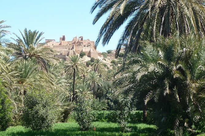 Private Day Trip of Taroudant & Tiout from Agadir - Tiout’s palm grove and red ocher village