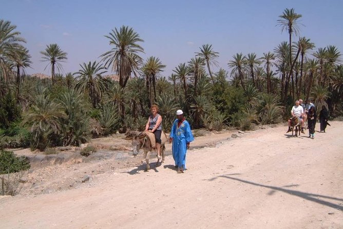 Private Day Trip of Taroudant & Tiout from Agadir - Practical booking details and cancellation