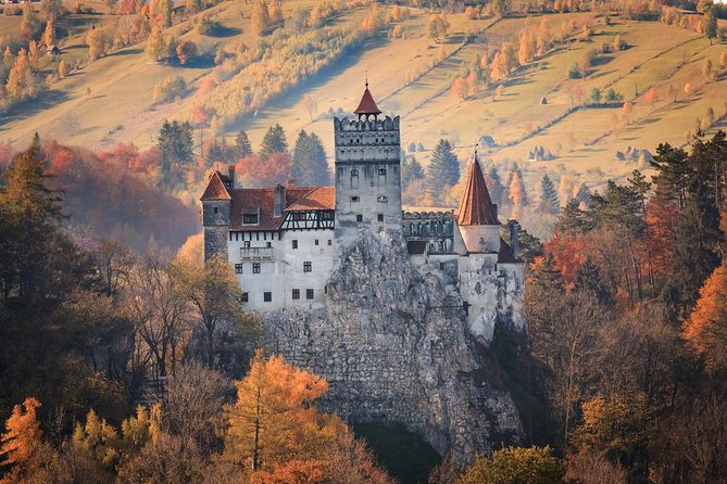 Private Day Trip to Dracula's Castle from Bucharest - Who should book this experience?