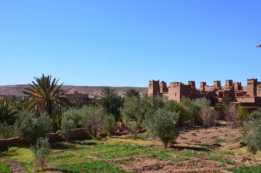 Private Day Trip To Ouarzazate & Ait Ben Haddou Kasbah - The guide and driver matter more than usual