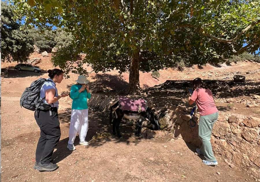 Private Day Trip to Volubilis, Moulay Idriss and Meknes - Meknes and the grand scale of Sultan Moulay Ismail