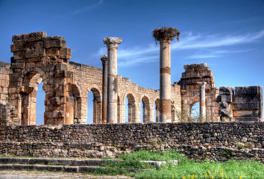Private Day Trip to Volubilis, Moulay Idriss and Meknes - Who should book this day trip?