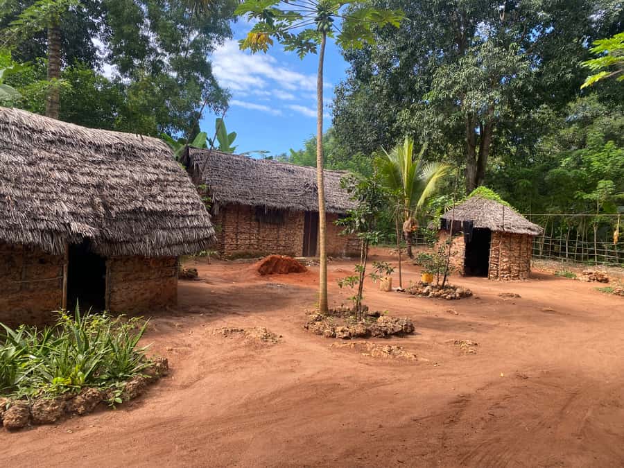 Private Full Day Trip Exploring Zanzibar Nature - A full day beyond Zanzibar’s beaches