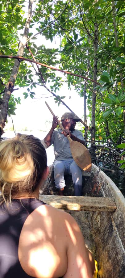 Private Full Day Trip Exploring Zanzibar Nature - Should you book the Zanzibar nature trip?
