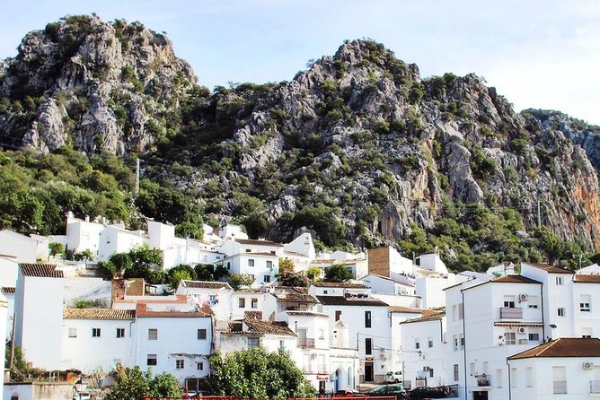 Private Guided Day Trip to the White Villages and Ronda from Seville - Lunch, local food, and the value of good advice