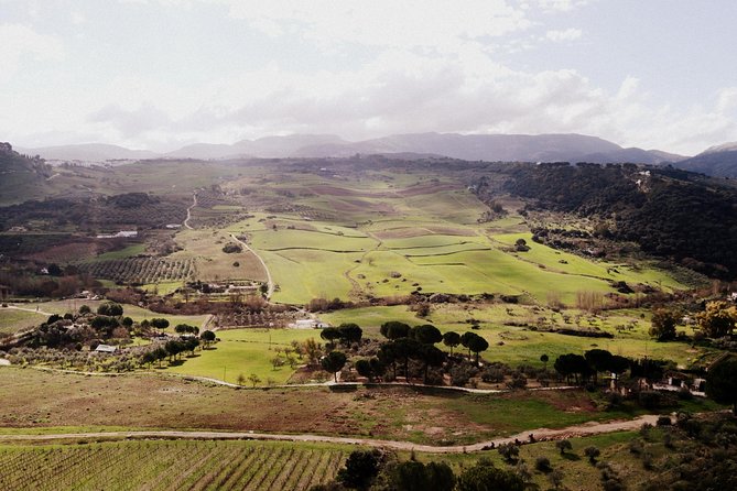 Private Guided Day Trip to the White Villages and Ronda from Seville - The guides are the biggest strength