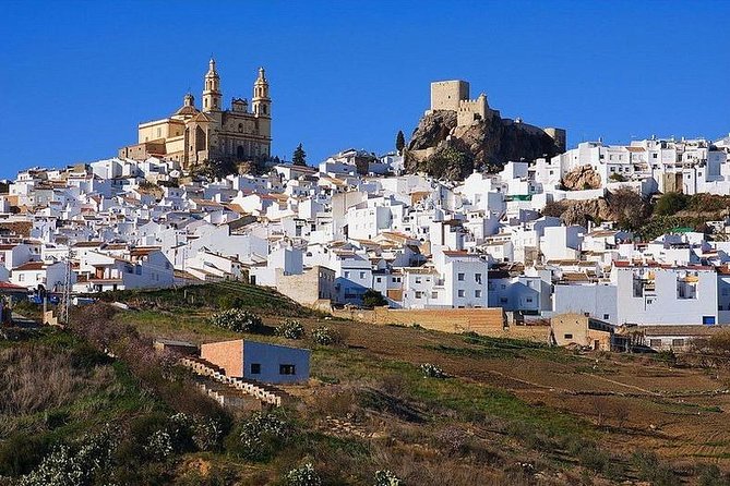 Private Guided Day Trip to the White Villages and Ronda from Seville - Zahara de la Sierra and the first mountain views